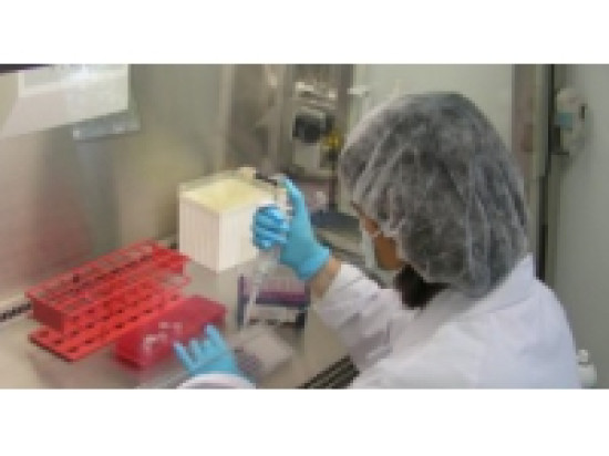 Le Cerema arrive à Bron Le Cerema arrive à Bron