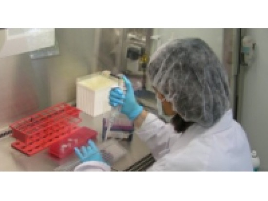 Un cas de m&eacute;ningite d&eacute;tect&eacute; dans le Nord Is&egrave;re