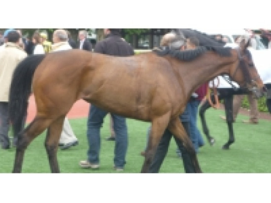 Un Suisse s'impose &agrave; Equita Lyon