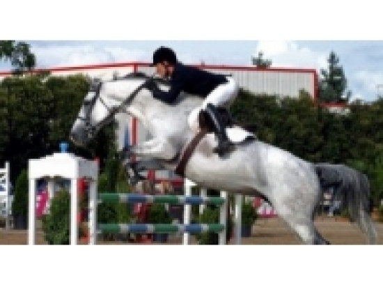 Près de 150 000 visiteurs recensés lors d'Equita' Lyon 2013 Près de 150 000 visiteurs recensés lors d'Equita' Lyon 2013