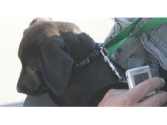 Le salon Animalyus ce week-end au Double Mixte &agrave; Villeurbanne