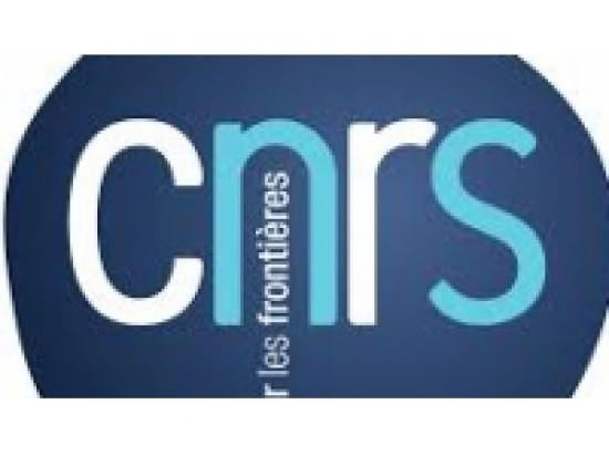 Cinq chercheurs lyonnais r&eacute;compens&eacute;s pour leurs travaux