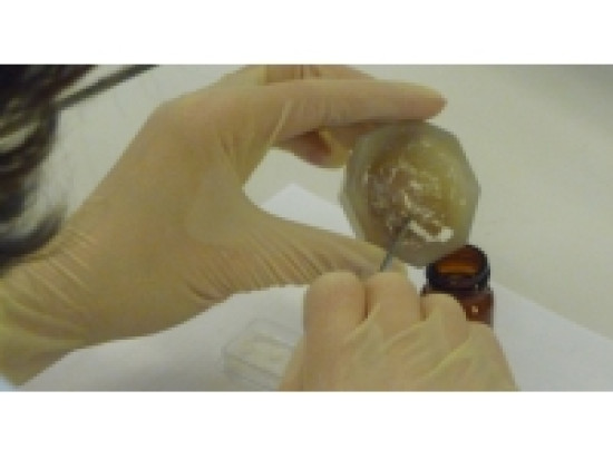 500 kg de drogue ont été saisis dimanche au sud de Lyon 500 kg de drogue ont été saisis dimanche au sud de Lyon