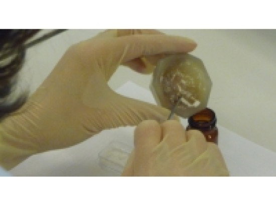 Un trafic d'héroïne démantelé à Bron Un trafic d'héroïne démantelé à Bron