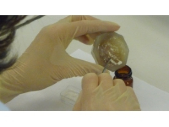 Un homme d'une trentaine d'années interpellé pour détention de drogue Un homme d'une trentaine d'années interpellé pour détention de drogue