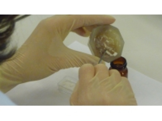 Un trafic de stupéfiant démantelé sur la place des Terreaux Un trafic de stupéfiant démantelé sur la place des Terreaux