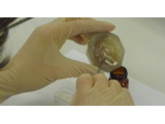 Saisie de drogue à Villeurbanne : un deuxième homme interpellé