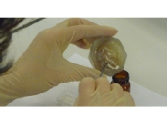 Un trafic d'héroïne démantelé près de Lyon