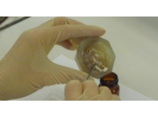 Un SDF lyonnais pris avec 115 grammes d'héroïne Un SDF lyonnais pris avec 115 grammes d'héroïne