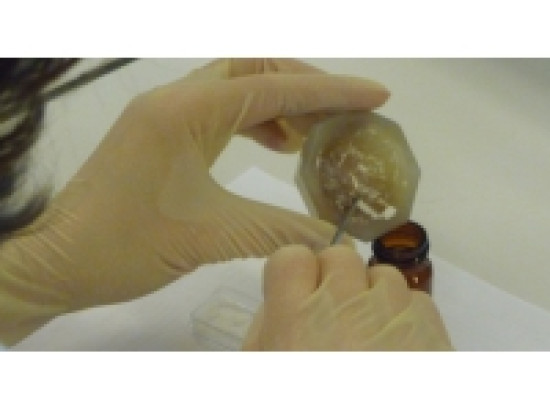 Un trafic d'héroïne démantelé dans l'agglomération Un trafic d'héroïne démantelé dans l'agglomération