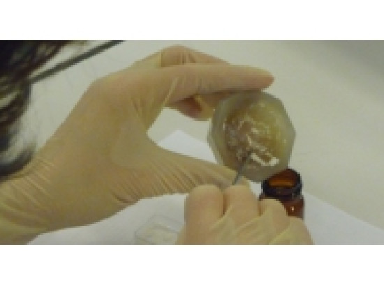 Sept personnes interpellées en Rhône-Alpes et dans le sud de la France pour un trafic de cocaïne Sept personnes interpellées en Rhône-Alpes et dans le sud de la France pour un trafic de cocaïne