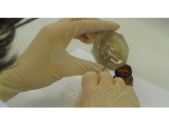 Un trafic de stupéfiant démantelé dans l'agglomération Un trafic de stupéfiant démantelé dans l'agglomération