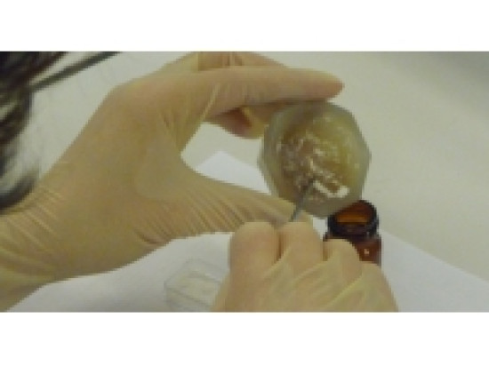 De la cocaïne cachée dans des canettes de coca De la cocaïne cachée dans des canettes de coca