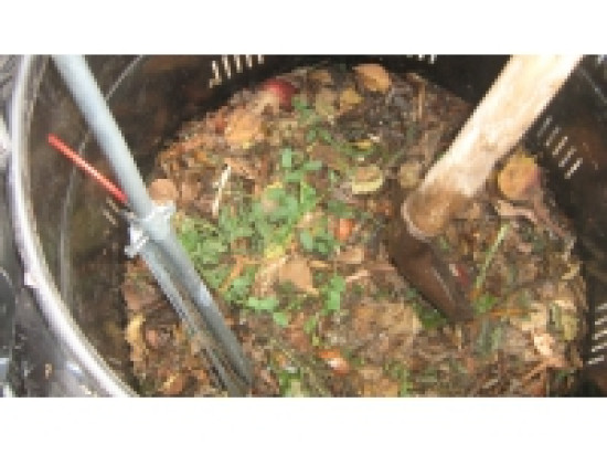 Villeurbanne : une &eacute;cole se met au compostage