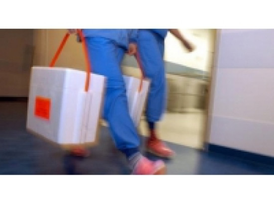 Rh&ocirc;ne : une tentative de record du monde de promesses de don d'organes