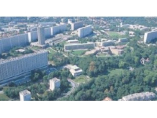 Interdit de sortie nocturne, il dégrade l'éclairage public à la Duchère Interdit de sortie nocturne, il dégrade l'éclairage public à la Duchère