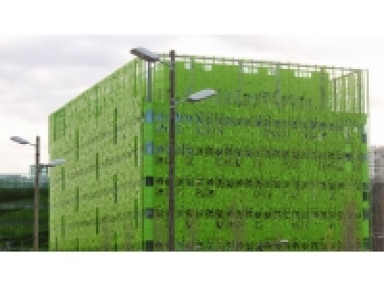 Euronews va révolutionner l'actualité sportive avec une chaine mondiale diffusant tous les sports Euronews va révolutionner l'actualité sportive avec une chaine mondiale diffusant tous les sports