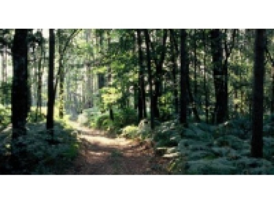 Une nouvelle r&eacute;serve naturelle nationale a &eacute;t&eacute; cr&eacute;&eacute;e dans la r&eacute;gion