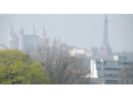 Rh&ocirc;ne : nouvelles alertes polliniques