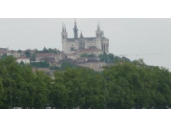 Alertes polliniques dans le Rh&ocirc;ne