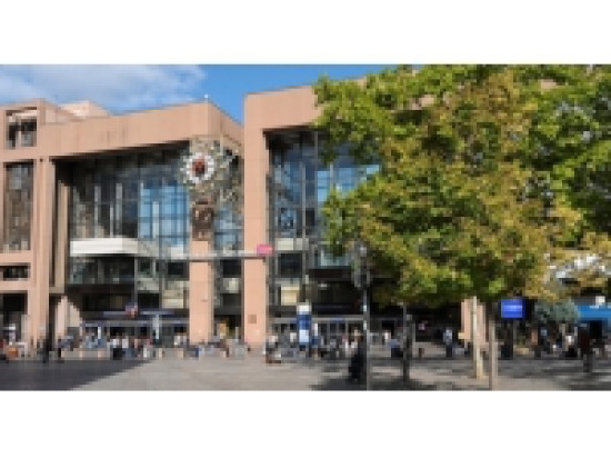 Lyon : une mule arrêtée à la gare de la Part-Dieu Lyon : une mule arrêtée à la gare de la Part-Dieu