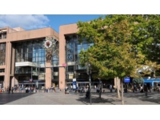 Les démineurs interviennent à la gare de Lyon Part-Dieu pour un colis suspect Les démineurs interviennent à la gare de Lyon Part-Dieu pour un colis suspect