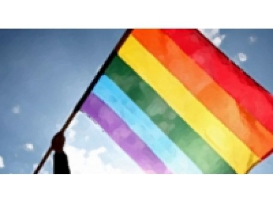 Un livre blanc contre le mariage pour tous remis mercredi à Lyon et à Paris Un livre blanc contre le mariage pour tous remis mercredi à Lyon et à Paris