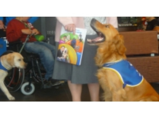 Lyon : l'association Handi'Chiens ouvre ses portes aux publics