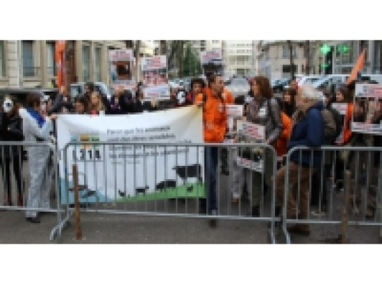 Lyon : manifestation contre l'élevage industriel mardi