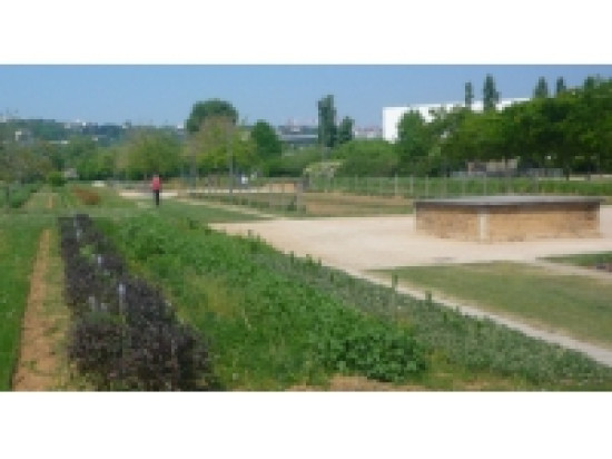 La r&eacute;gion Rh&ocirc;ne-Alpes f&ecirc;te la nature ce week-end