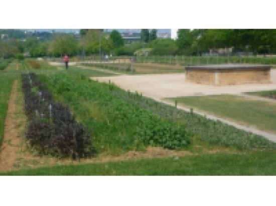 De l'amiante dans le jardin secret de Saint-Rambert  &agrave; Lyon