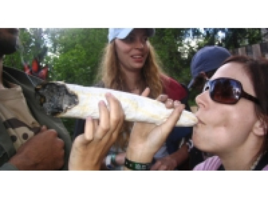 Lyon : une marche pour abolir la prohibition du cannabis