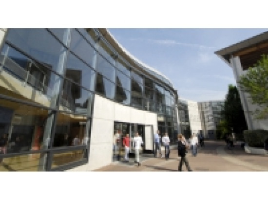 Un cursus "Arts du cirque" &agrave; Vaulx-en-Velin