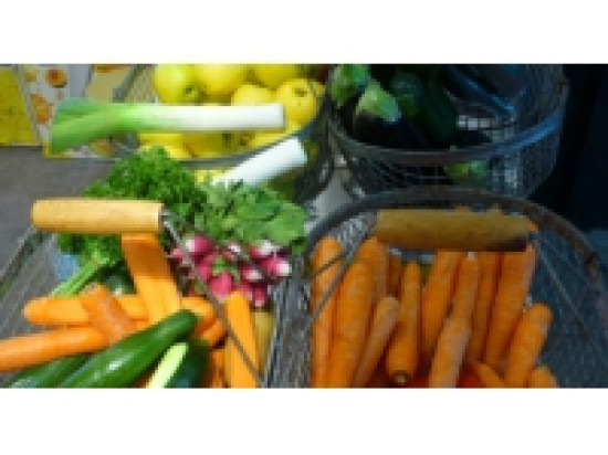 Lyon : une BD géante pour comprendre comment bien manger Lyon : une BD géante pour comprendre comment bien manger