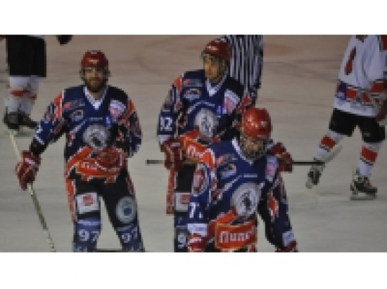 Coupe de la Ligue : les Lions affrontent de nouveau Gap ce mardi soir Coupe de la Ligue : les Lions affrontent de nouveau Gap ce mardi soir