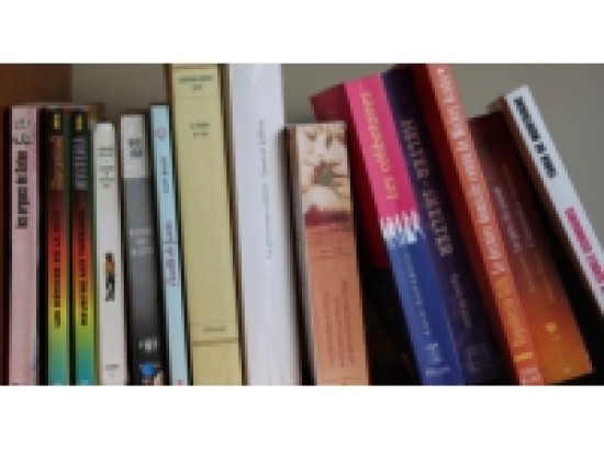 500 livres &eacute;parpill&eacute;s &agrave; Lyon et Villeurbanne sur deux jours