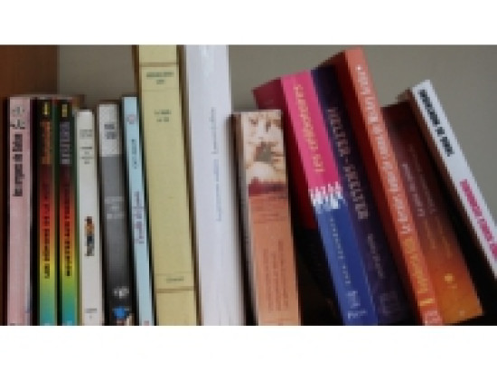 Villeurbanne : les m&eacute;diath&egrave;ques mettent en vente plus de 20 000 documents