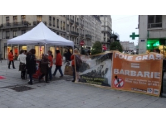 Foie gras = barbarie, un happening contre le foie gras &agrave; Lyon