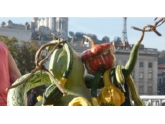 Bellecour a rendez-vous avec son marché des saveurs Bellecour a rendez-vous avec son marché des saveurs