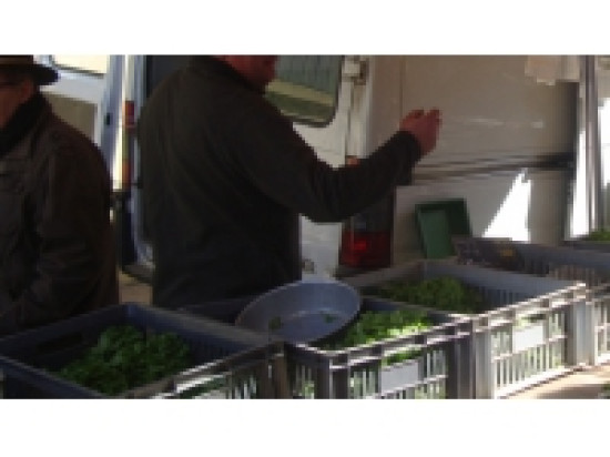 Les marchés lyonnais fêtent la semaine du Bio Les marchés lyonnais fêtent la semaine du Bio