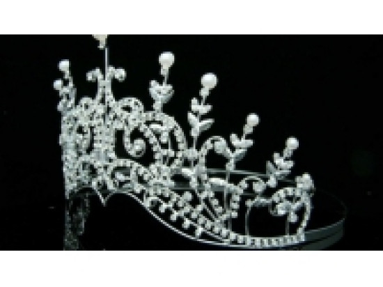 Miss Curvy Rh&ocirc;ne-Alpes 2014 sera &eacute;lue ce dimanche