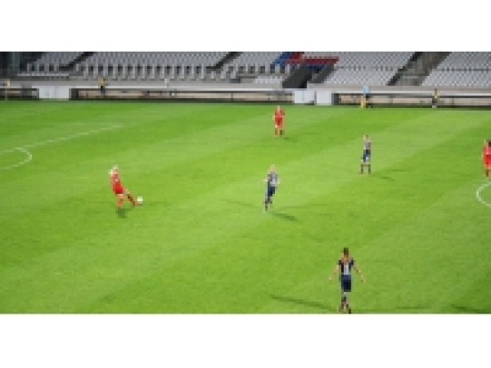 Eliminatoires Mondial 2015 : 10 filles de l'OL avec les Bleues pour affronter la Hongrie Eliminatoires Mondial 2015 : 10 filles de l'OL avec les Bleues pour affronter la Hongrie