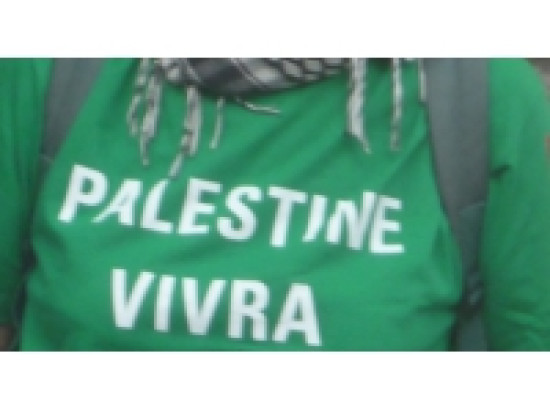 Un rassemblement &agrave; Lyon contre les raids isra&eacute;liens &agrave; Gaza