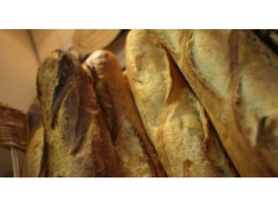 Lyon : action symbolique des agriculteurs ce vendredi contre la loi sur les contrefa&ccedil;ons