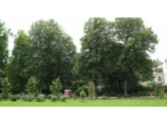 Pollens : comment faire face aux allergies dans le Rh&ocirc;ne ?