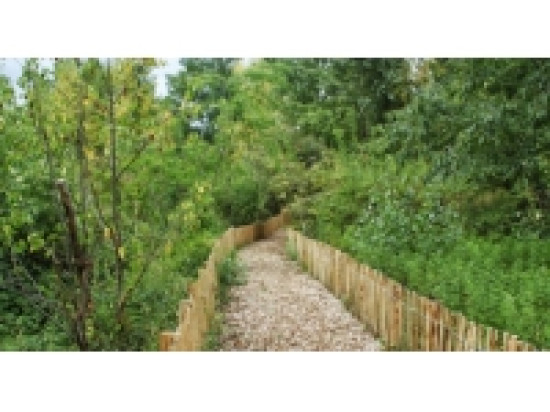 Lyon dans le top 4 des villes les plus vertes de France