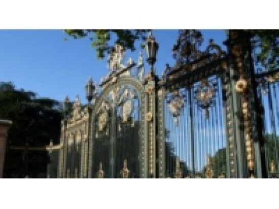 Lyon : un platane malade abattu au parc de la Tête d'Or Lyon : un platane malade abattu au parc de la Tête d'Or