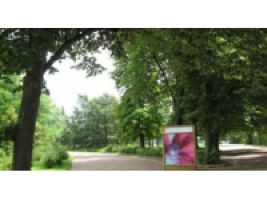 Rafales de vent : fermeture des parcs &agrave; Lyon