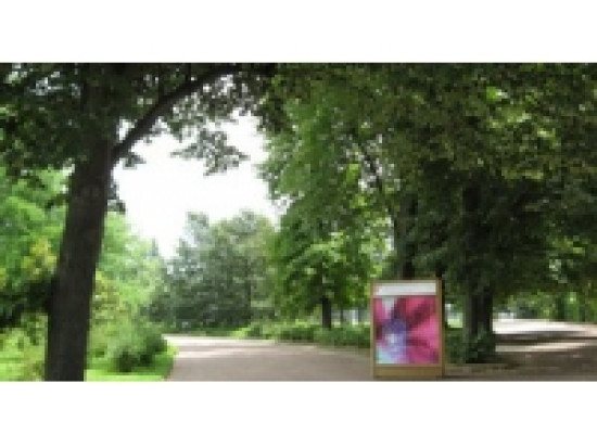 Rh&ocirc;ne : avec les beaux jours attention au retour des pollens