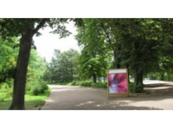 Rafales de vent &agrave; Lyon : les parcs ferm&eacute;s ce mercredi